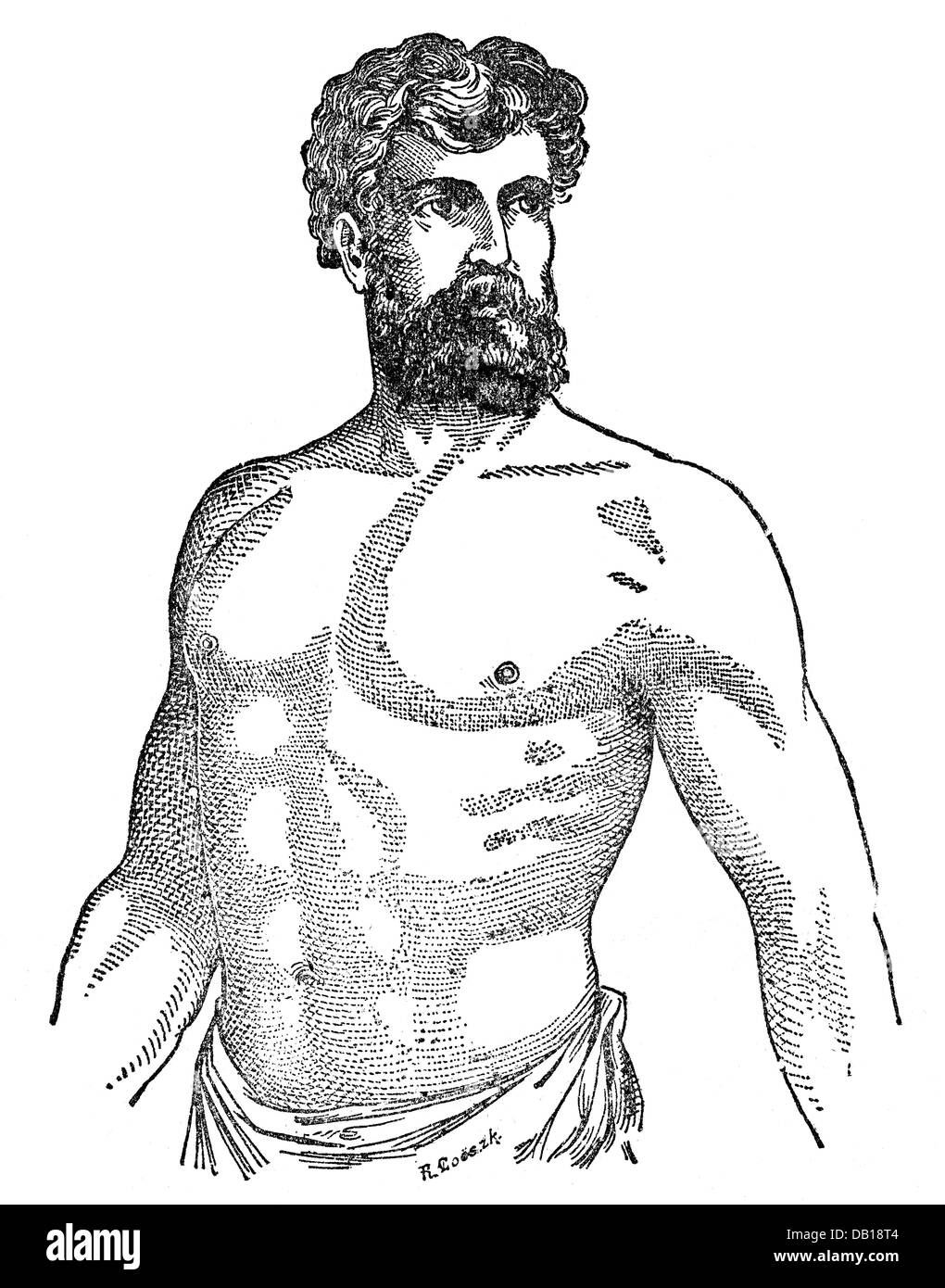 Medicina, anatomia, scheletro / ossa, torace atletico, incisione del legno, da: Friedrich Eduard Bilz, New Naturopathic Treatment, Leipzig, Germania, 1902, Additional-Rights-Clearences-Not Available Foto Stock