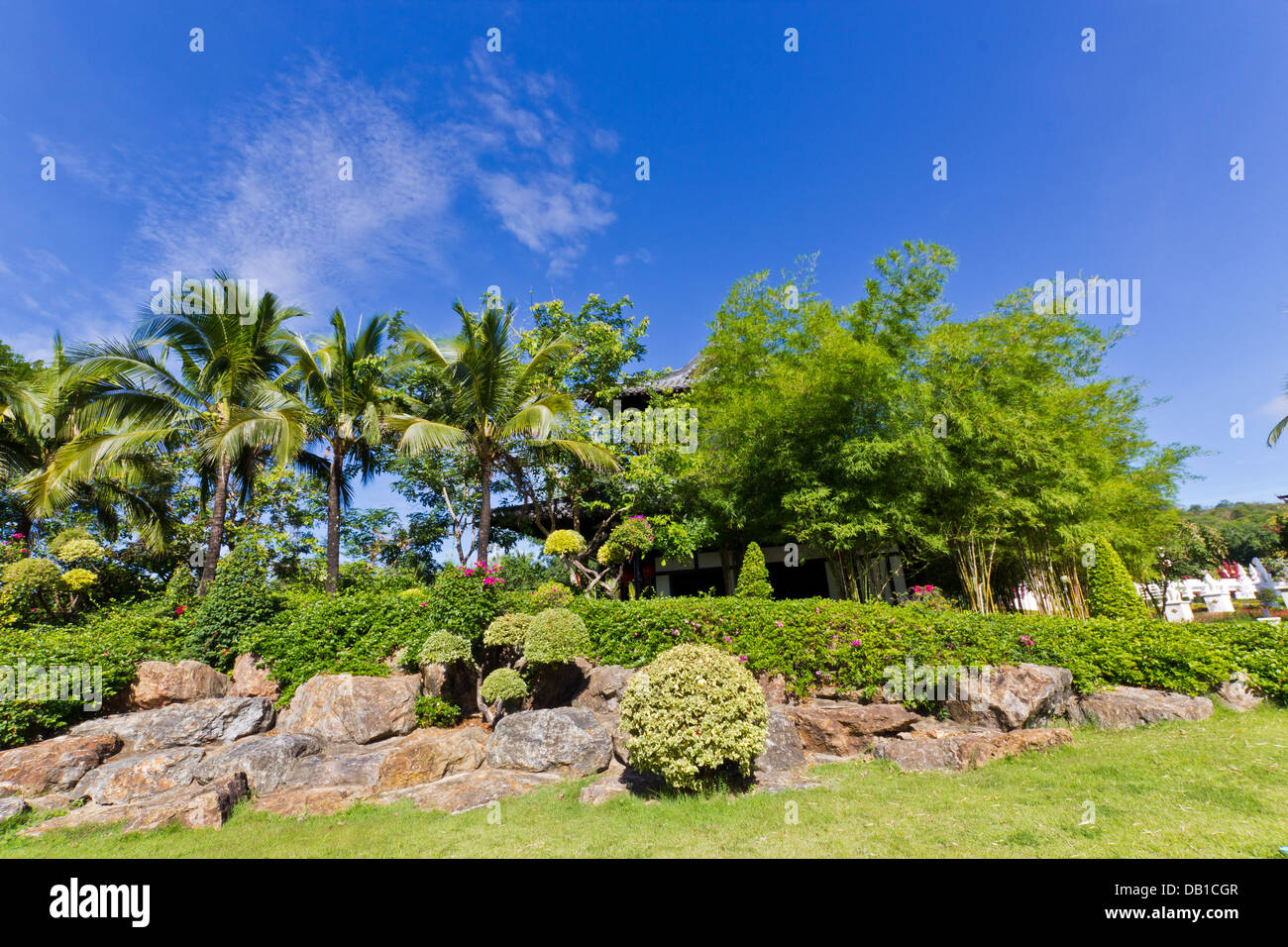 Foto della splendida area giardino con cielo blu sullo sfondo. Foto Stock
