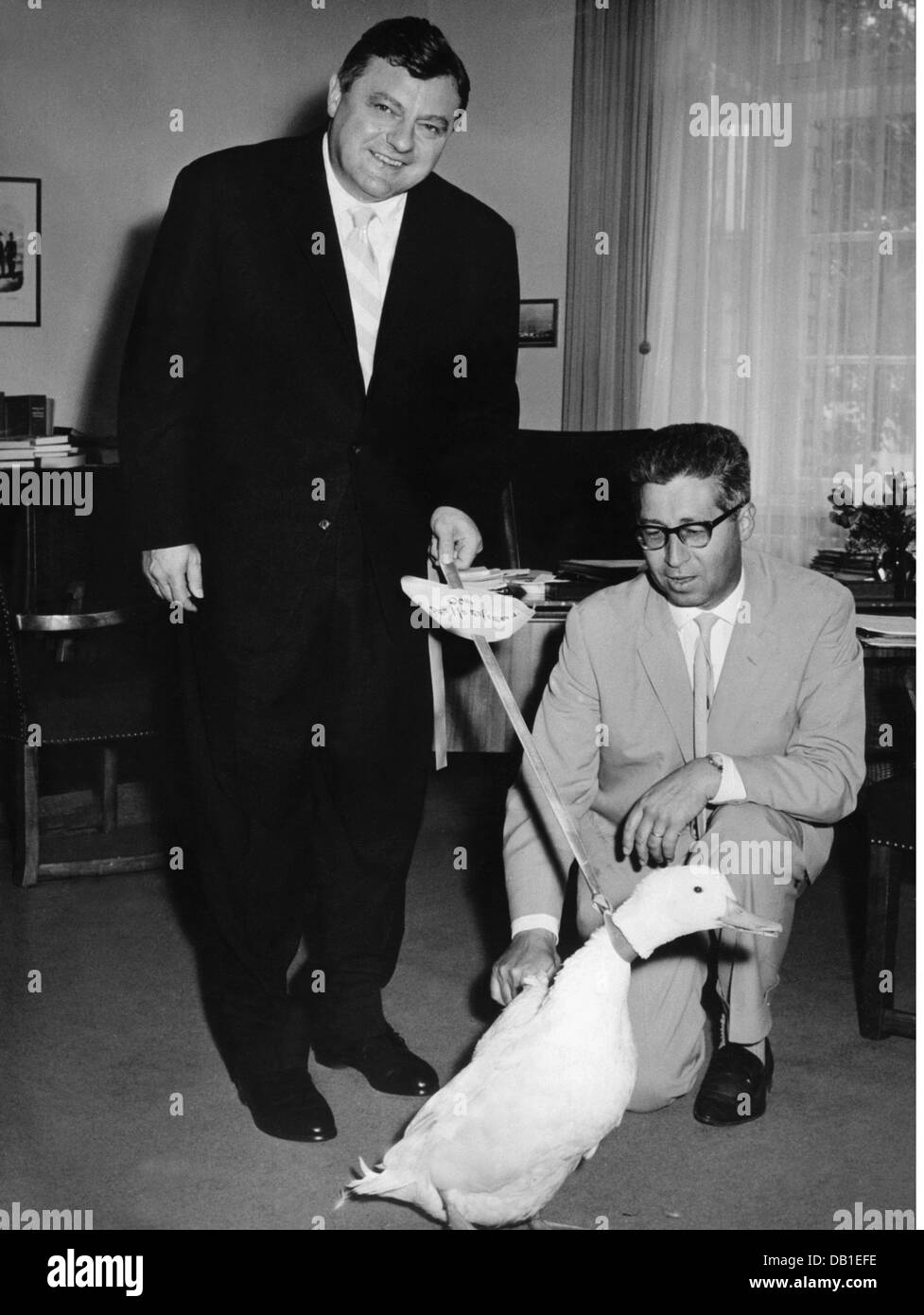 Strauss, Franz Josef, 6.9.1915 - 3.10.1988, politico tedesco (, Unione sociale cristiana), ministro della Difesa federale 16.10.1956 - 9.1.1963, con anatra presente al 46th compleanno, segretario di stampa di destra colonnello Gerd Schmueckle, Bonn, 6.9.1961, Foto Stock