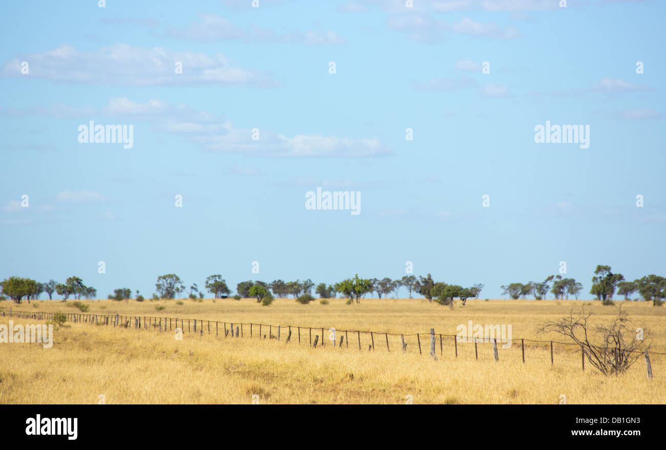 Prati e pascoli secchi PPS e un cielo blu con nuvole in una parte remota di outback Queensland, Australia Foto Stock
