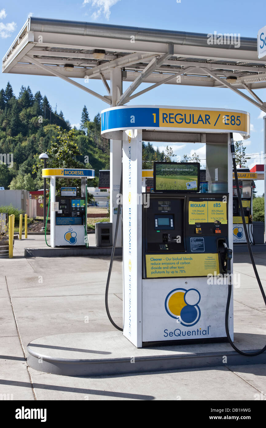 Il biocarburante E-85 alla stazione di servizio. Foto Stock