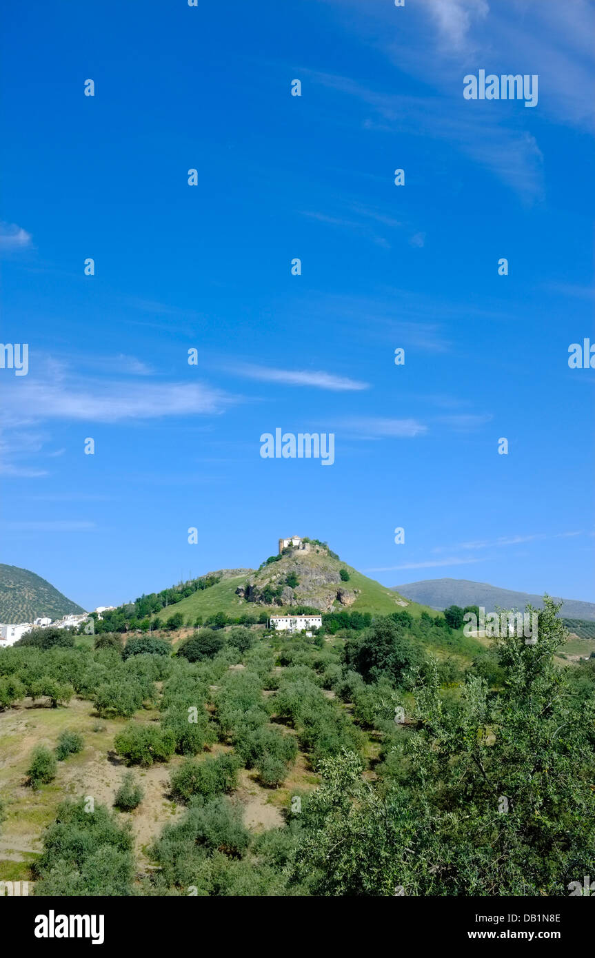 Collina castello moresco sopra la città di Carcabuey, Sierras Subbeticas, Andalusia. Spagna Foto Stock