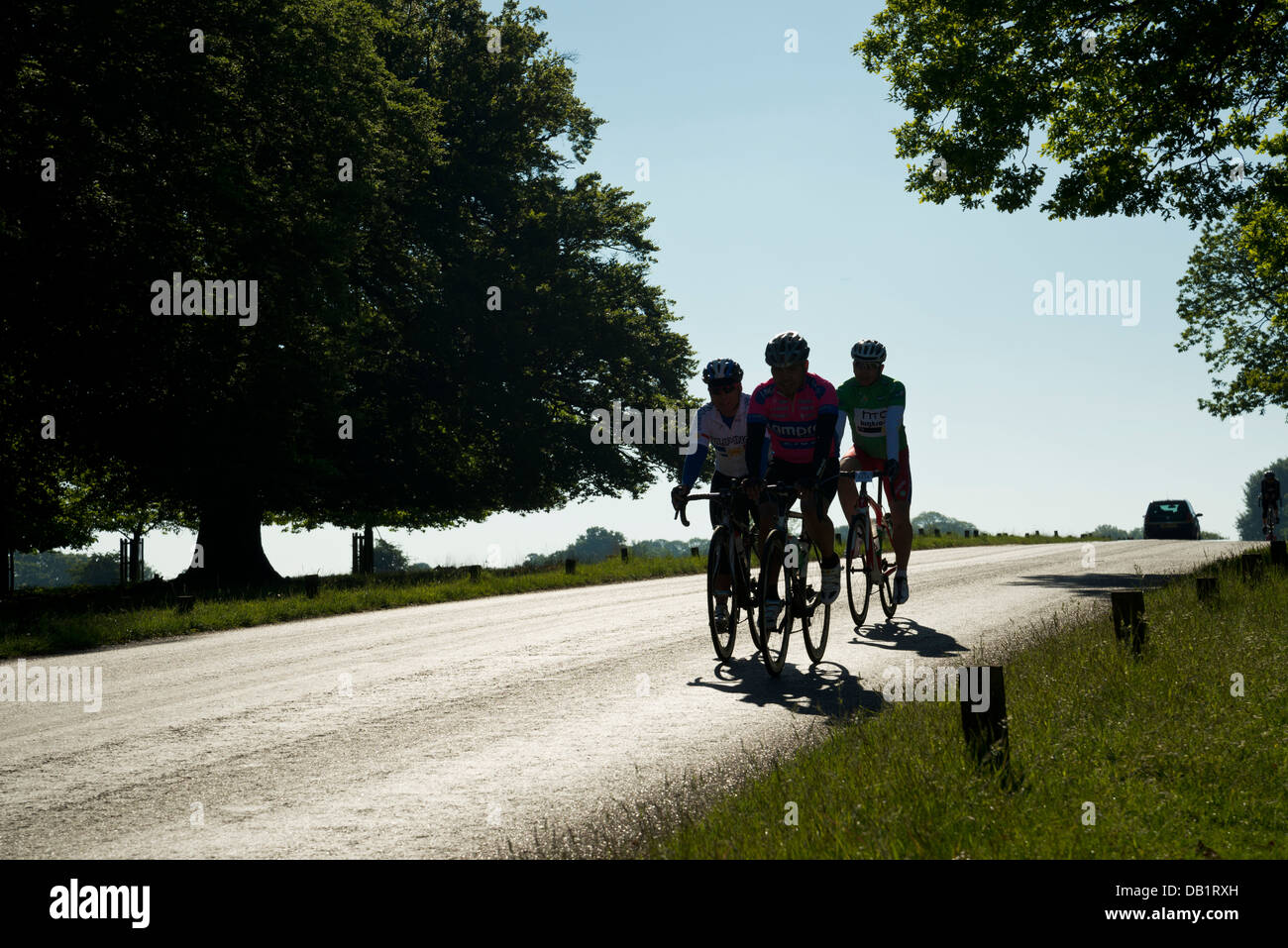 I ciclisti in Richmond Park, a sud ovest di Londra, Regno Unito Foto Stock