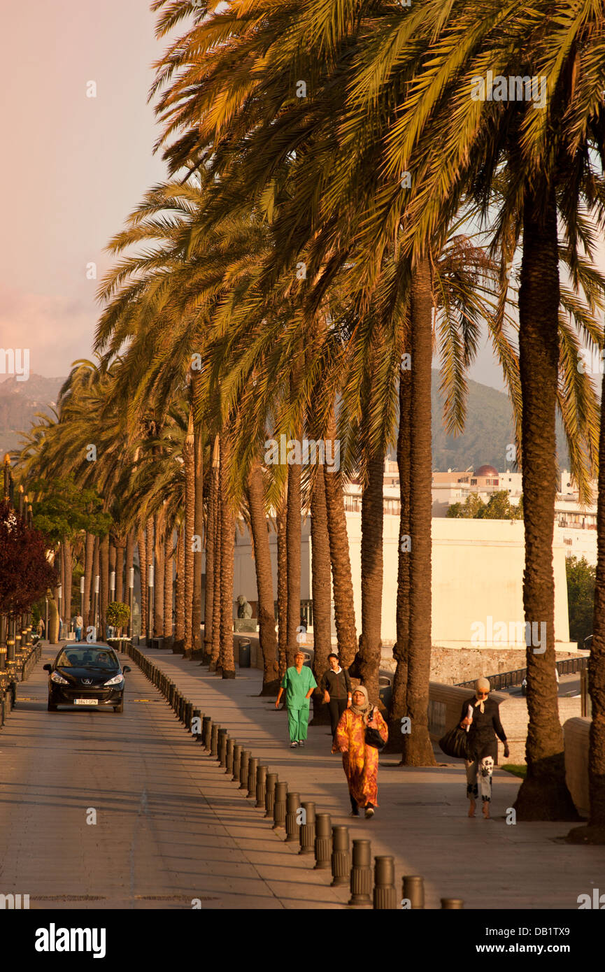 Paseo de las Palmeras Ceuta . Spagna. Foto Stock