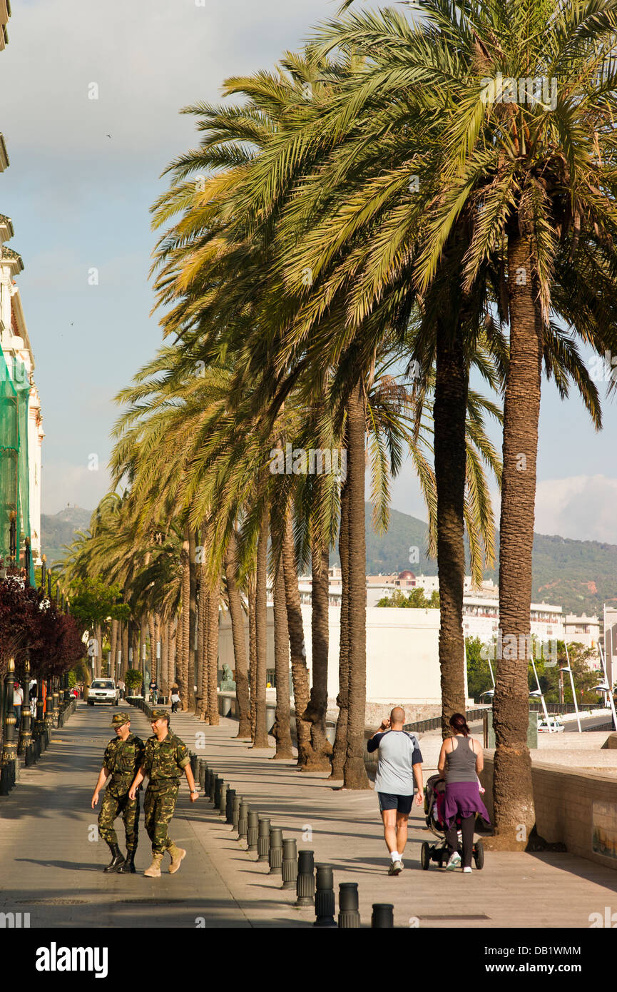 Paseo de las Palmeras Ceuta . Spagna. Foto Stock