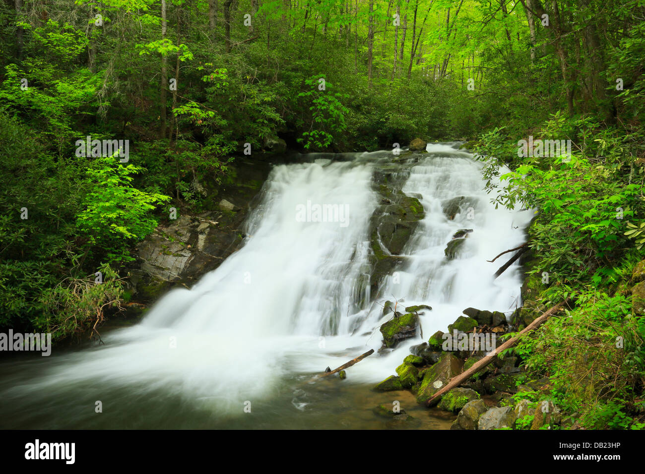 Indian Creek Falls, Deep Creek, Great Smoky Mountains National Park, North Carolina, STATI UNITI D'AMERICA Foto Stock