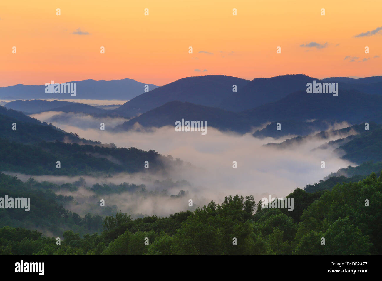 Sunrise visto da poco River Road, Great Smoky Mountains National Park, Tennessee, Stati Uniti d'America Foto Stock