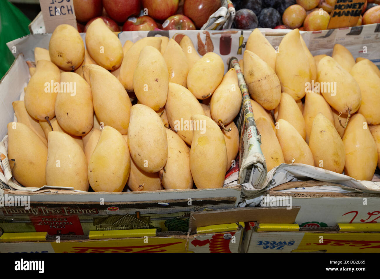 Scatole con mango al miele fresco esposte in vendita al Tekka Market nel quartiere Little India, Singapore. Foto Stock