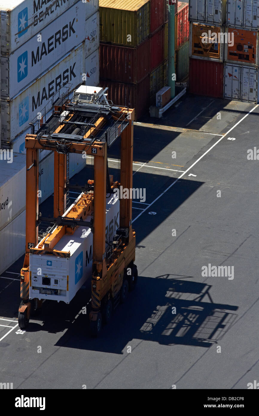 Cavallo di gru a terminale per container Port Chalmers, Dunedin, Otago, Isola del Sud, Nuova Zelanda Foto Stock