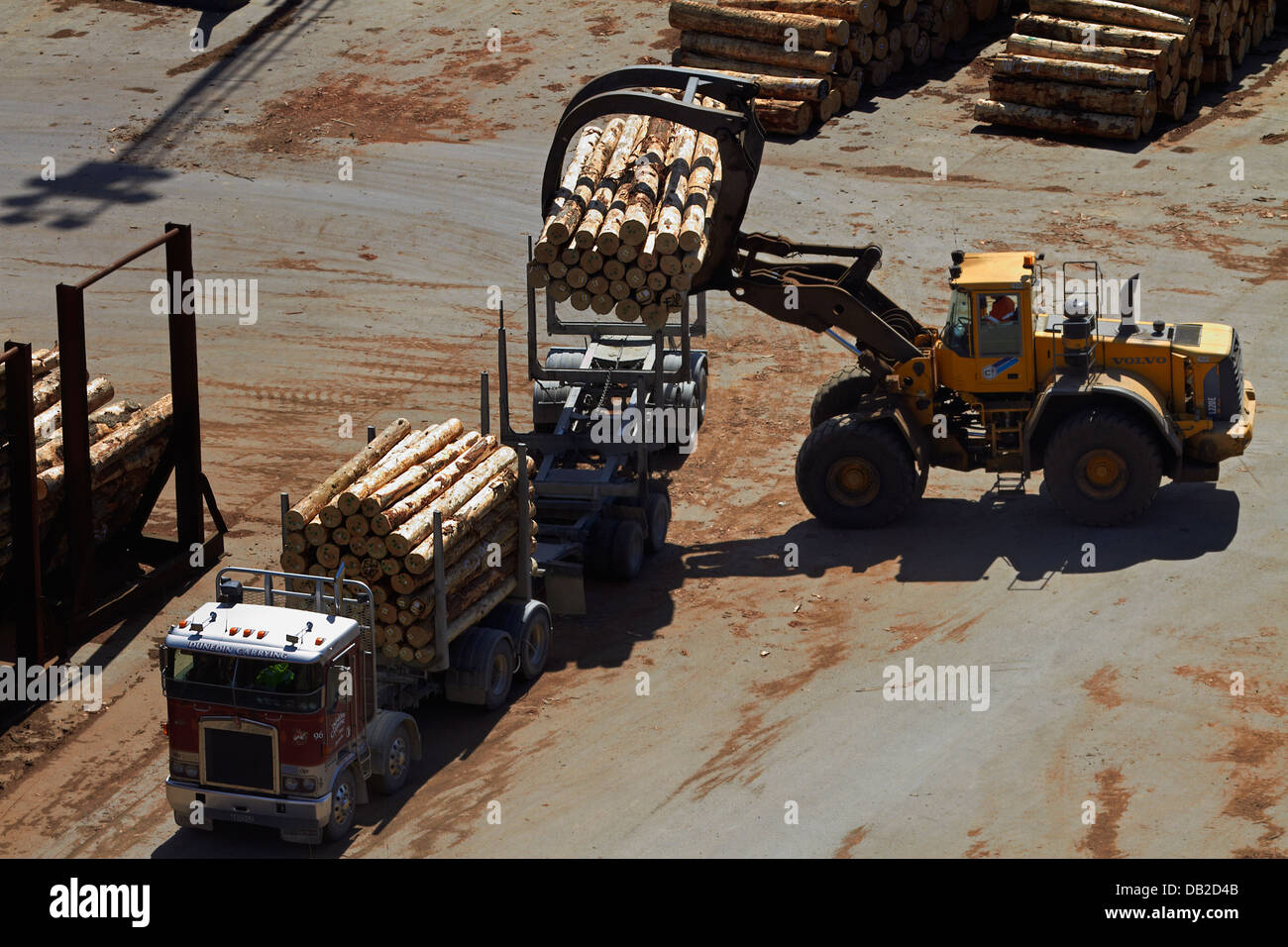 Registro di scarico del caricatore logging camion a Port Chalmers, Dunedin, Otago, Isola del Sud, Nuova Zelanda Foto Stock