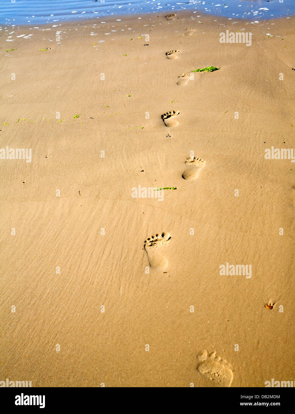 Impronte in spiaggia di sabbia Holkham Norfolk Inghilterra Foto Stock