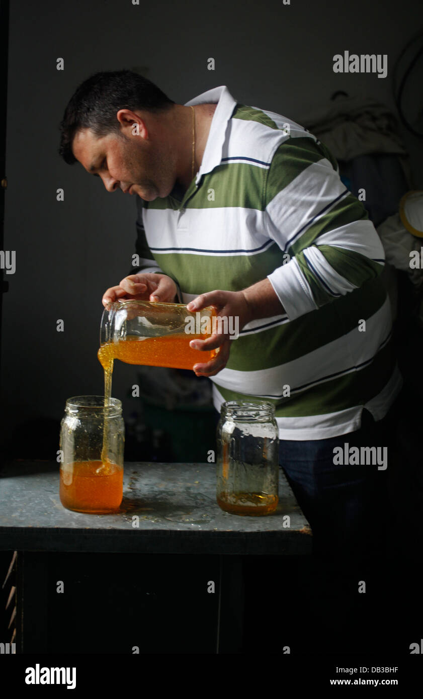 Un lavoratore si riempie di un vasetto di miele con miele proveniente da un altro vaso in Puremiel, miele di una azienda che produce materie organiche miele,Cadiz,Spagna Foto Stock