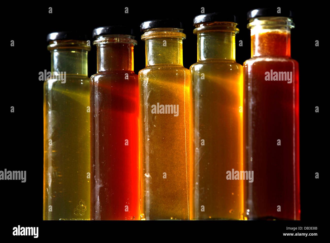 Cinque barattoli di miele sono visualizzati in Puremiel, miele di una azienda che produce materie organiche di miele, Cadice, Andalusia, Spagna Foto Stock