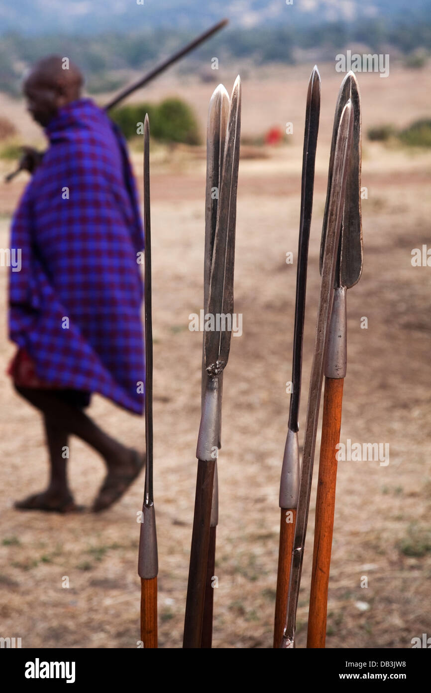 Maasai i cacciatori hanno messo le loro lance in un cluster di piccole dimensioni a terra e un uomo drappeggiati in viola a piedi passato. Foto Stock