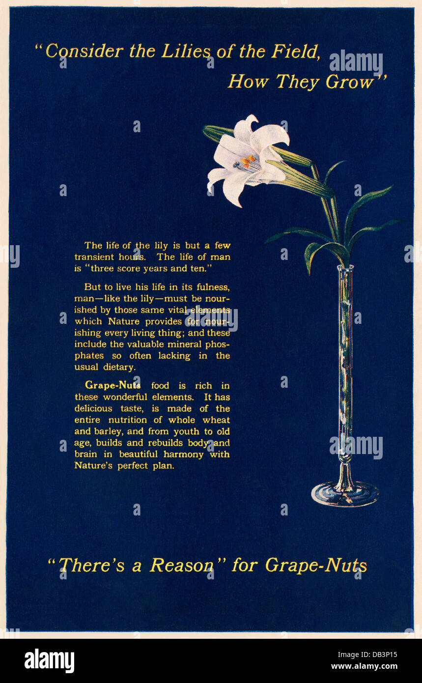 Pubblicità per Grape-Nuts cereali, 1916. Colore illustrazione dei mezzitoni Foto Stock