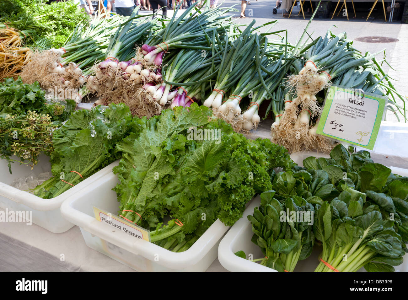 Ortaggi freschi per la vendita su Union Square, greenmarket New York City Foto Stock