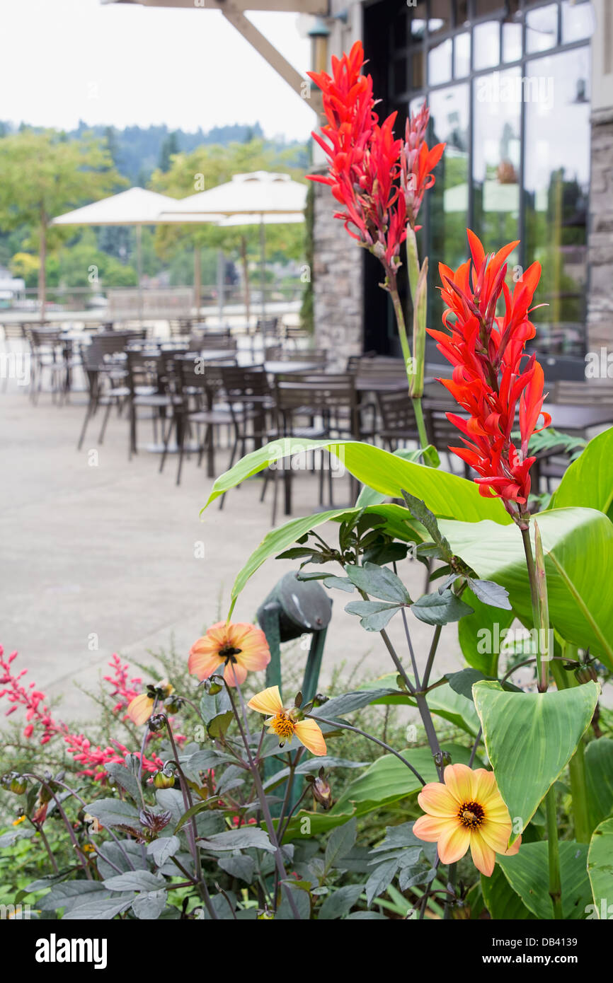 Piantatrice fiori dal ristorante posti a sedere in un Patio esterno con ombrelloni Foto Stock
