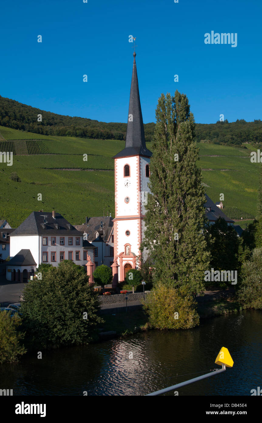 In Germania, in Renania Palatinato, la valle di Mosel Piesport Foto Stock