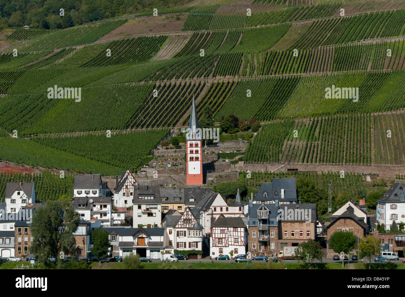 In Germania, in Renania Palatinato, la valle di Mosel, Zell Foto Stock