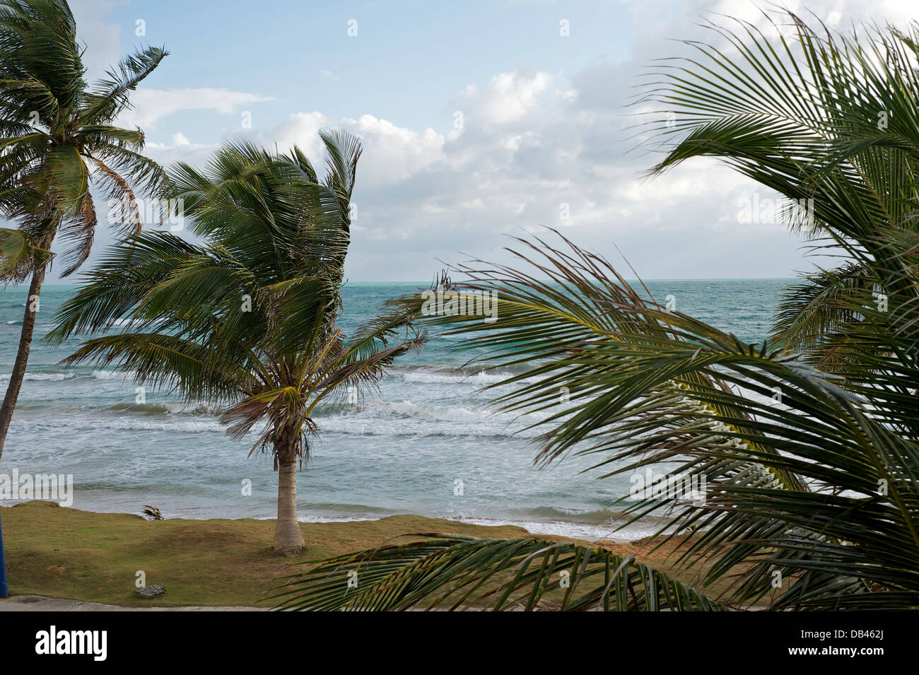 Puerto Rican scena sulla spiaggia. Foto Stock