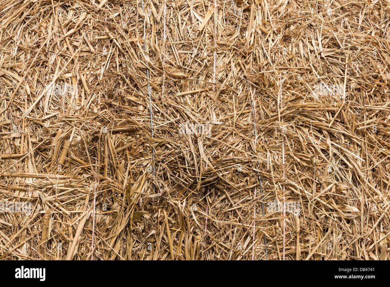 Dettagli immagine ravvicinata di pagliaio. Foto Stock