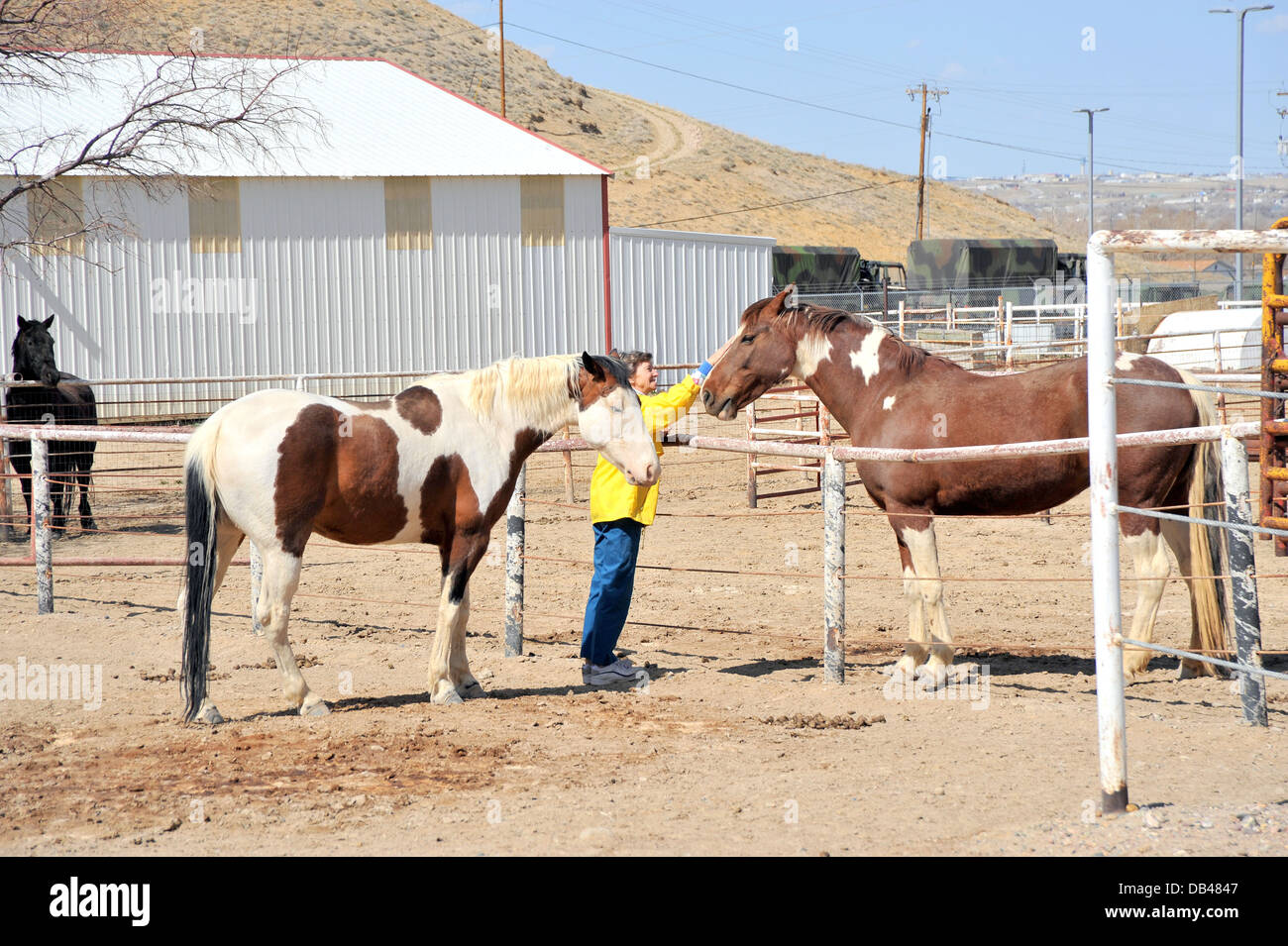 Rancher femminile. Foto Stock