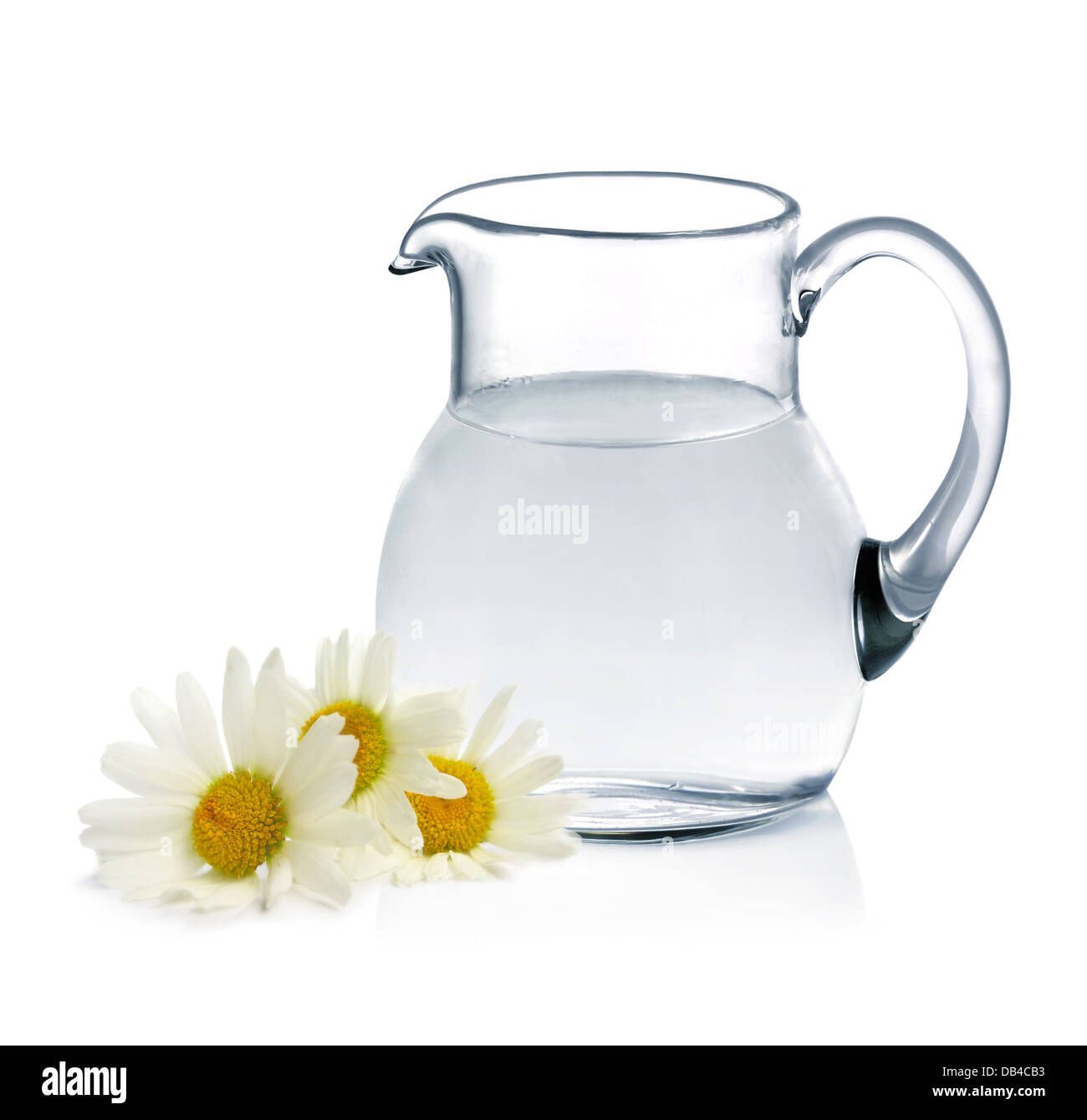 Caraffa di vetro con acqua fresca e camomiles su sfondo bianco Foto Stock