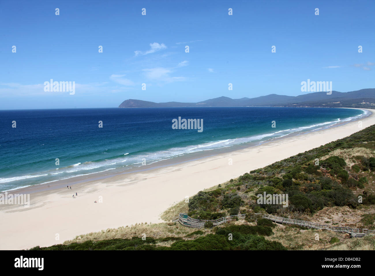 Isola di Bruny collo Game Reserve in Tasmania Foto Stock