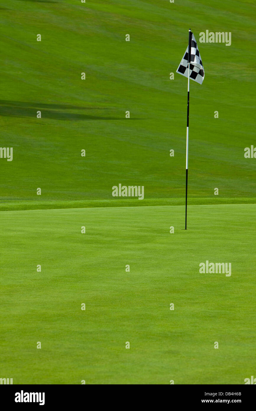 Buon golf putting green con bandiera che identifica la posizione del foro e una collina in background Foto Stock