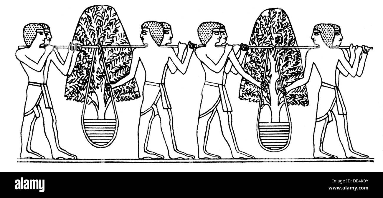 Commercio, incenso, portieri con albero di incenso da punt, dopo il rilievo dal tempio funerario della regina Hatchesput (1504 - 1483 a.C.), Deir el-Bahari, Egitto, incisione in legno, XIX secolo, botanica, mondo antico, tempi antichi, albero di incenso, Africa, Bahari, persone, portatori, schiavi, XVIII dinastia, storico, storico, storico, taglio, taglio, taglio, taglio, taglio, taglio, taglio, taglio, taglio, taglio Mondo antico, diritti-aggiuntivi-clearences-non disponibile Foto Stock
