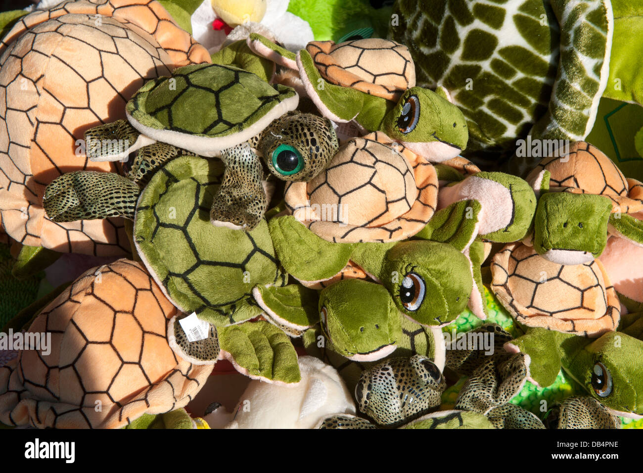 Türkei, Provinz Mugla, Dalyan, Schildkröten aller Art als Souvenier Foto Stock
