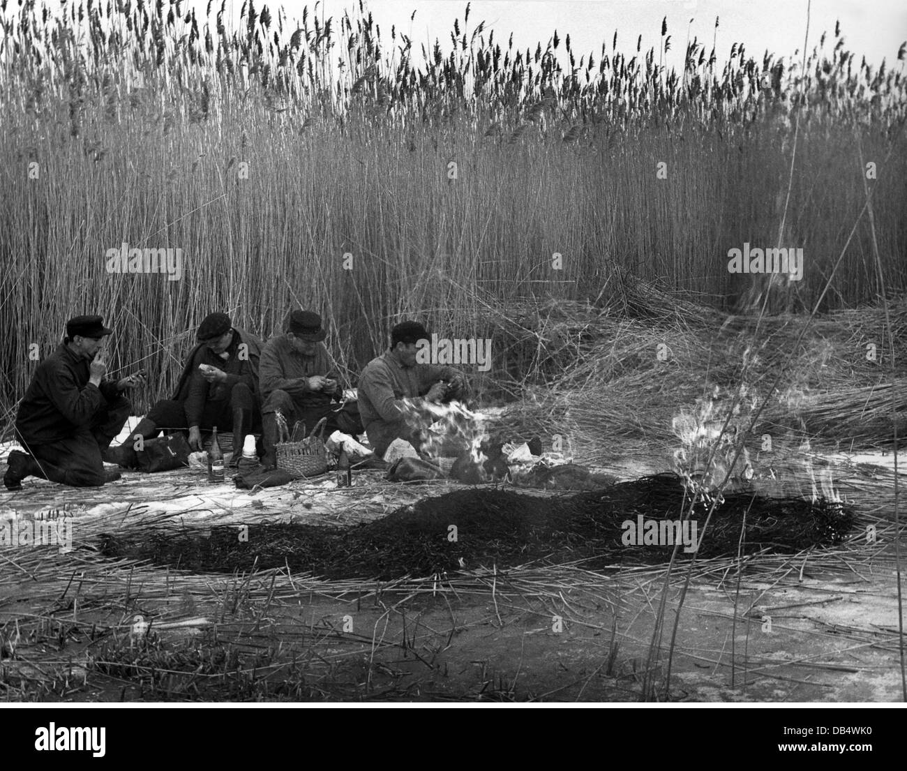 Agricoltura, lamine, taglierine durante la pausa pranzo, Germania del Nord, anni 50, diritti aggiuntivi-clearences-non disponibile Foto Stock