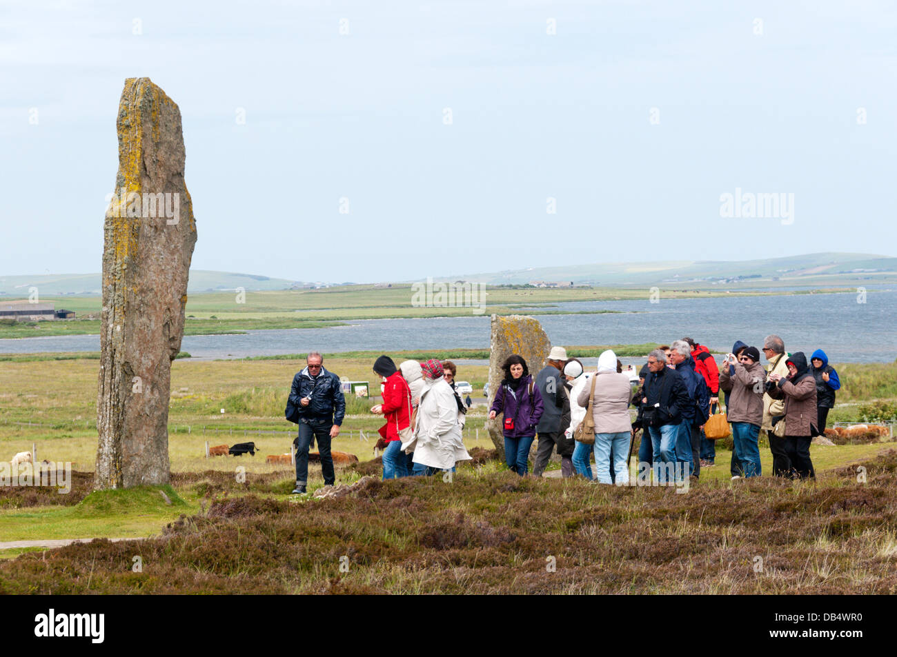 Un gruppo di tour visitando l'anello di Brodgar su Orkney continentale. Foto Stock