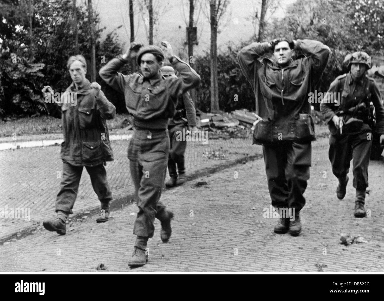 Foto Del Giorno: Il D-Day Per I Paracadutisti A 4 Zampe - Foto 12