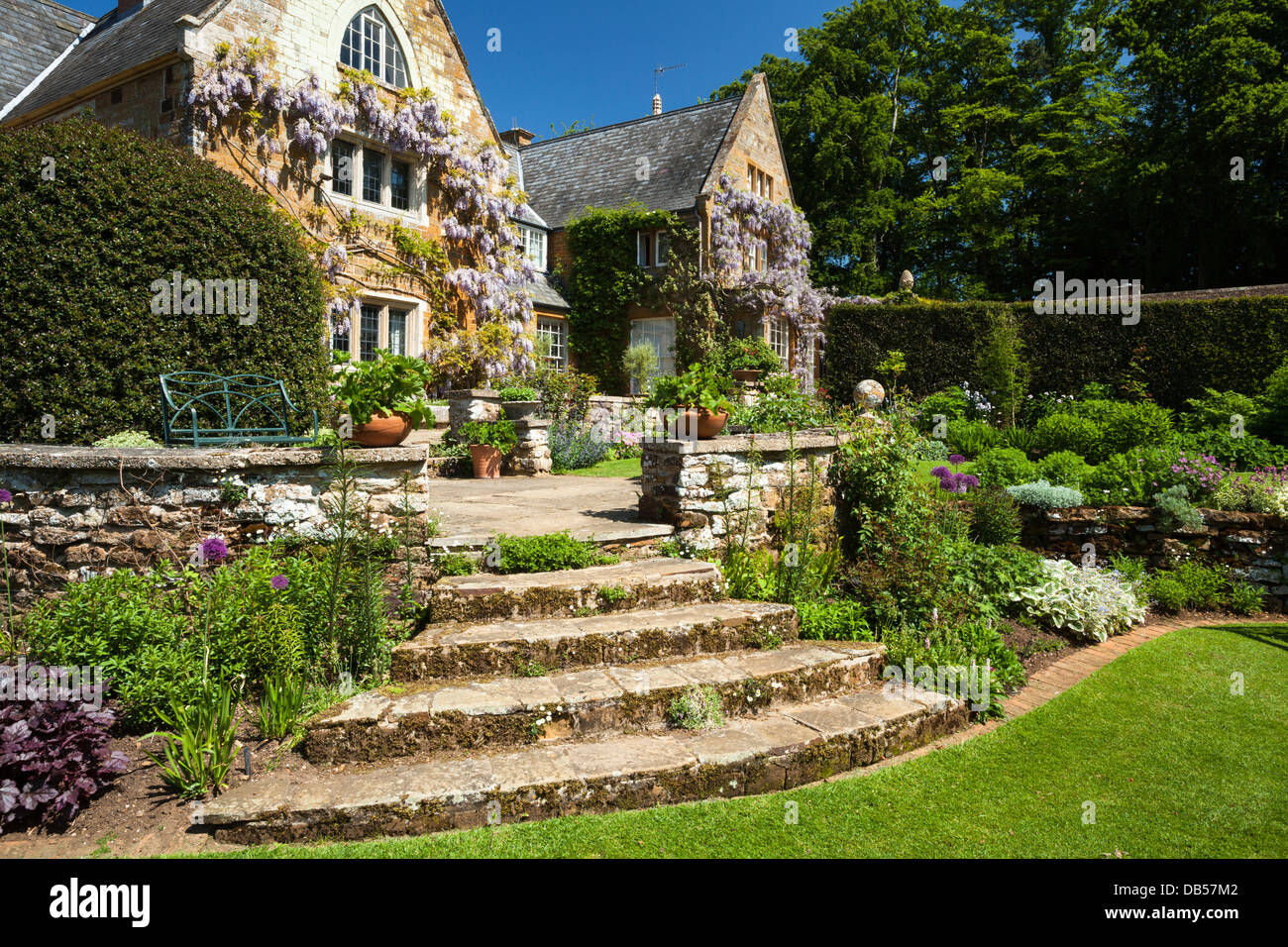 Gradini in pietra conducono ad una terrazza giardino con fioritura di arrampicata di glicine le pareti di pietra di Coton Manor al di là, Northamptonshire, Inghilterra Foto Stock