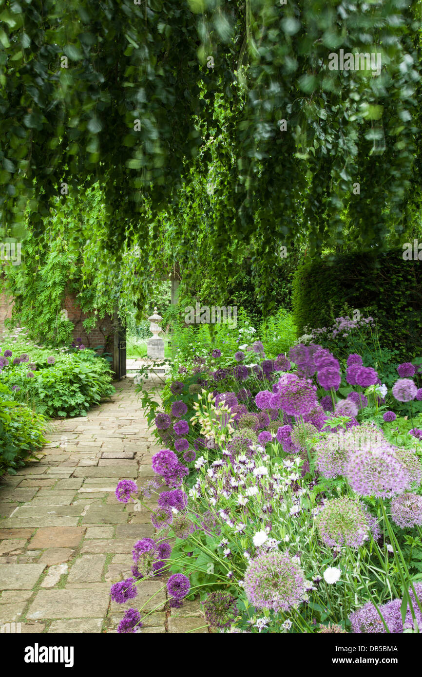 Inizio estate le frontiere della terrazza giardino incorniciato da un pianto faggio, Cottesbrooke Hall, Northamptonshire, Inghilterra Foto Stock