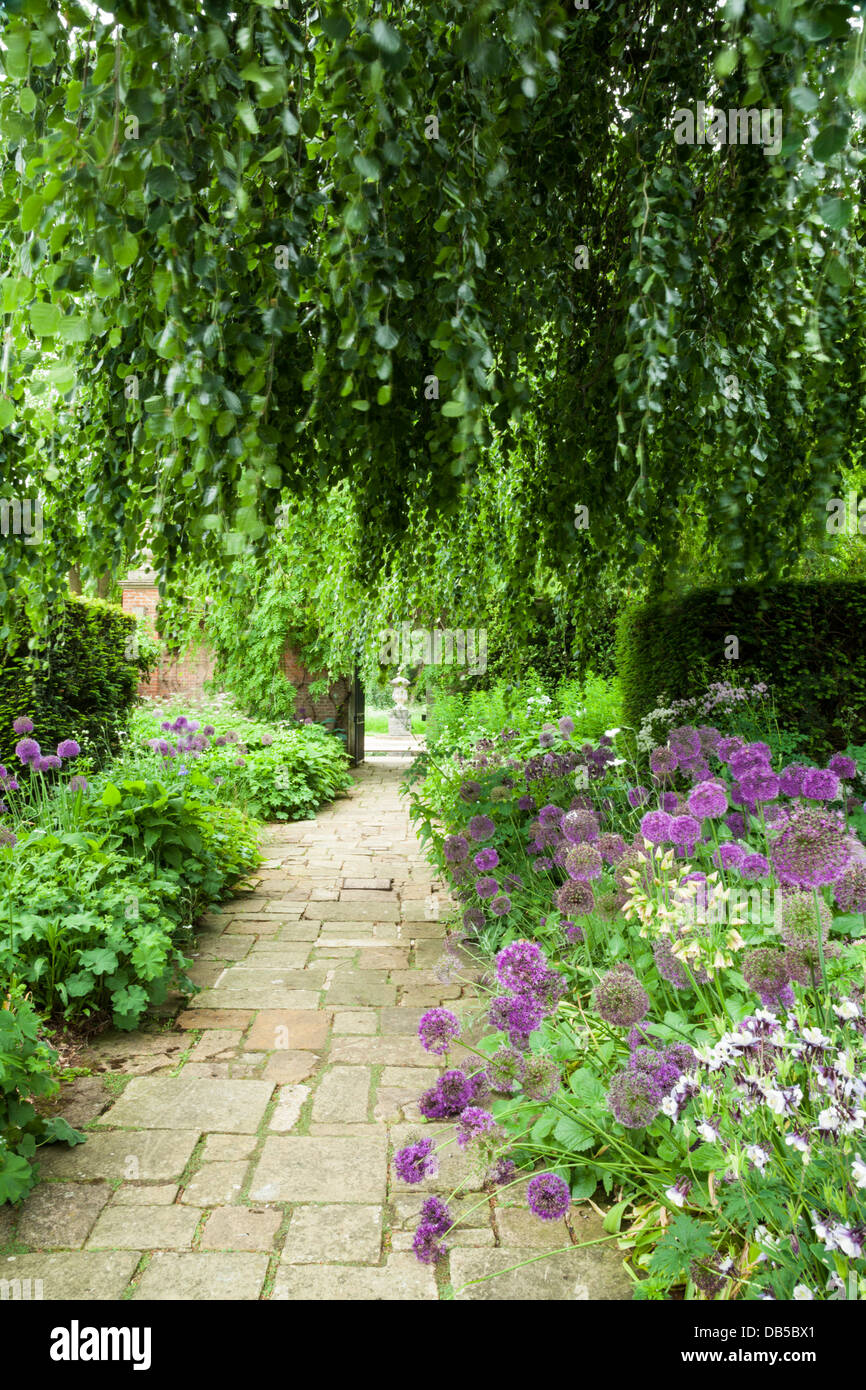 Inizio estate le frontiere della terrazza giardino incorniciato da un pianto faggio, Cottesbrooke Hall, Northamptonshire, Inghilterra Foto Stock