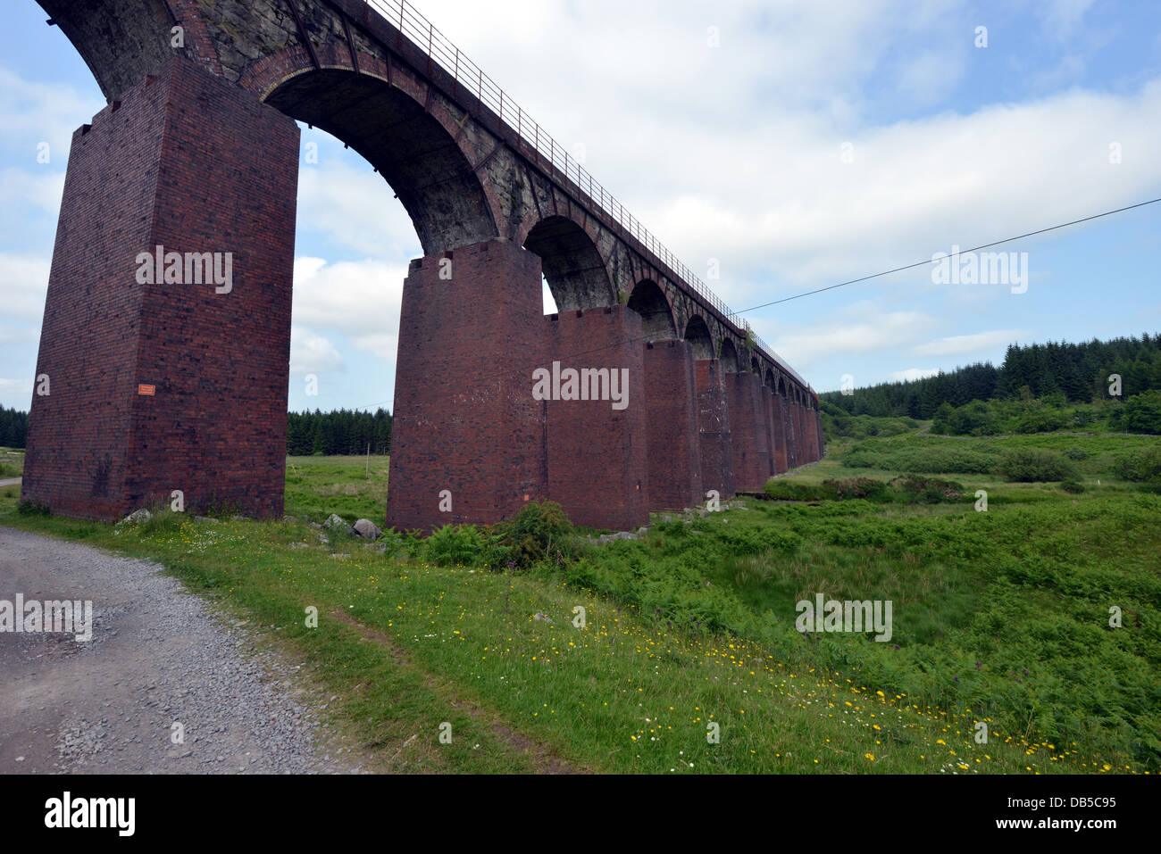 Grande acqua del viadotto della flotta di Dumfries e Galloway Cairnsmore flotta di riserva Foto Stock