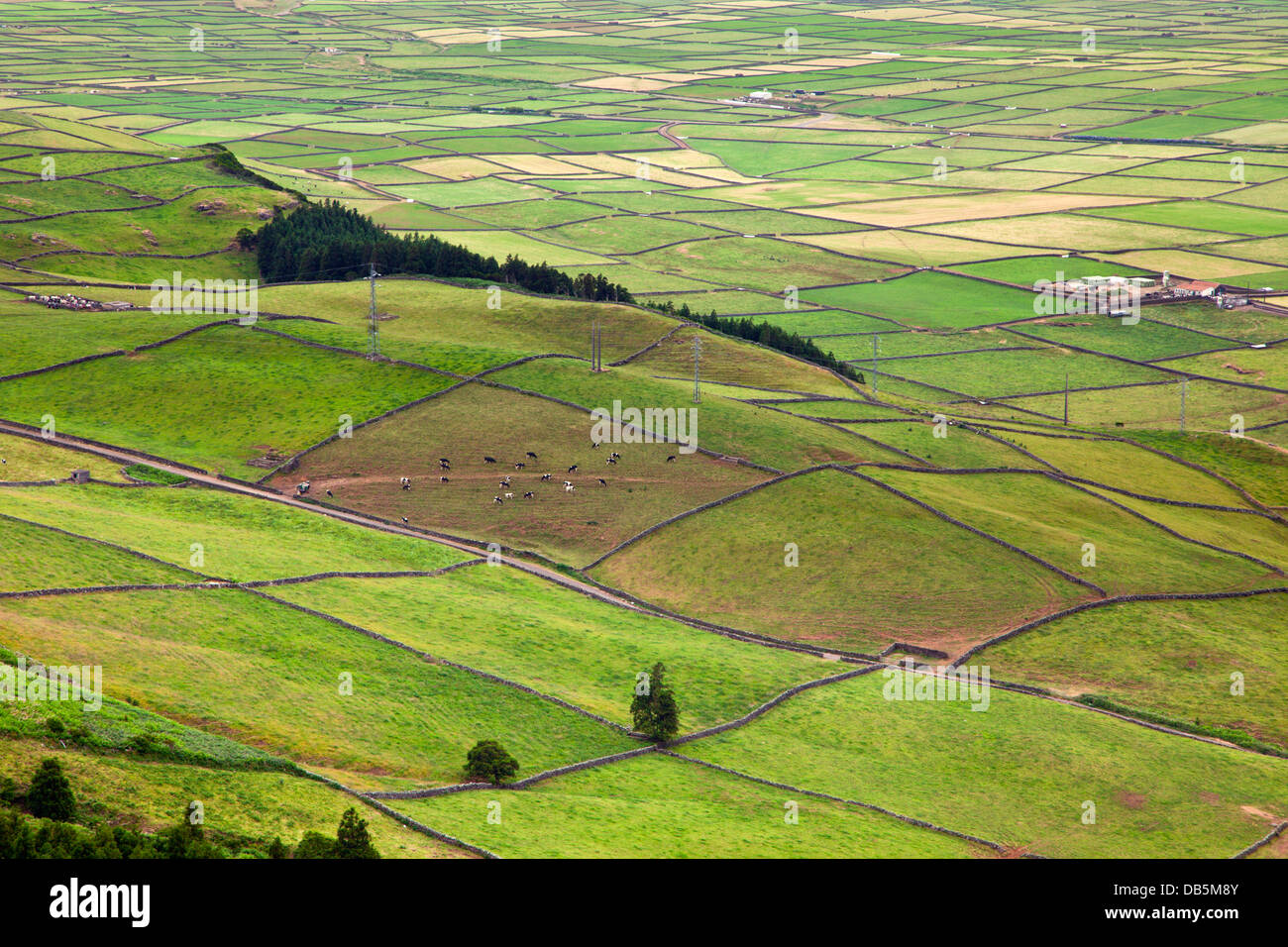 Patchwork paesaggio presso la Serra do Cume, isola Terceira, Azzorre Foto Stock