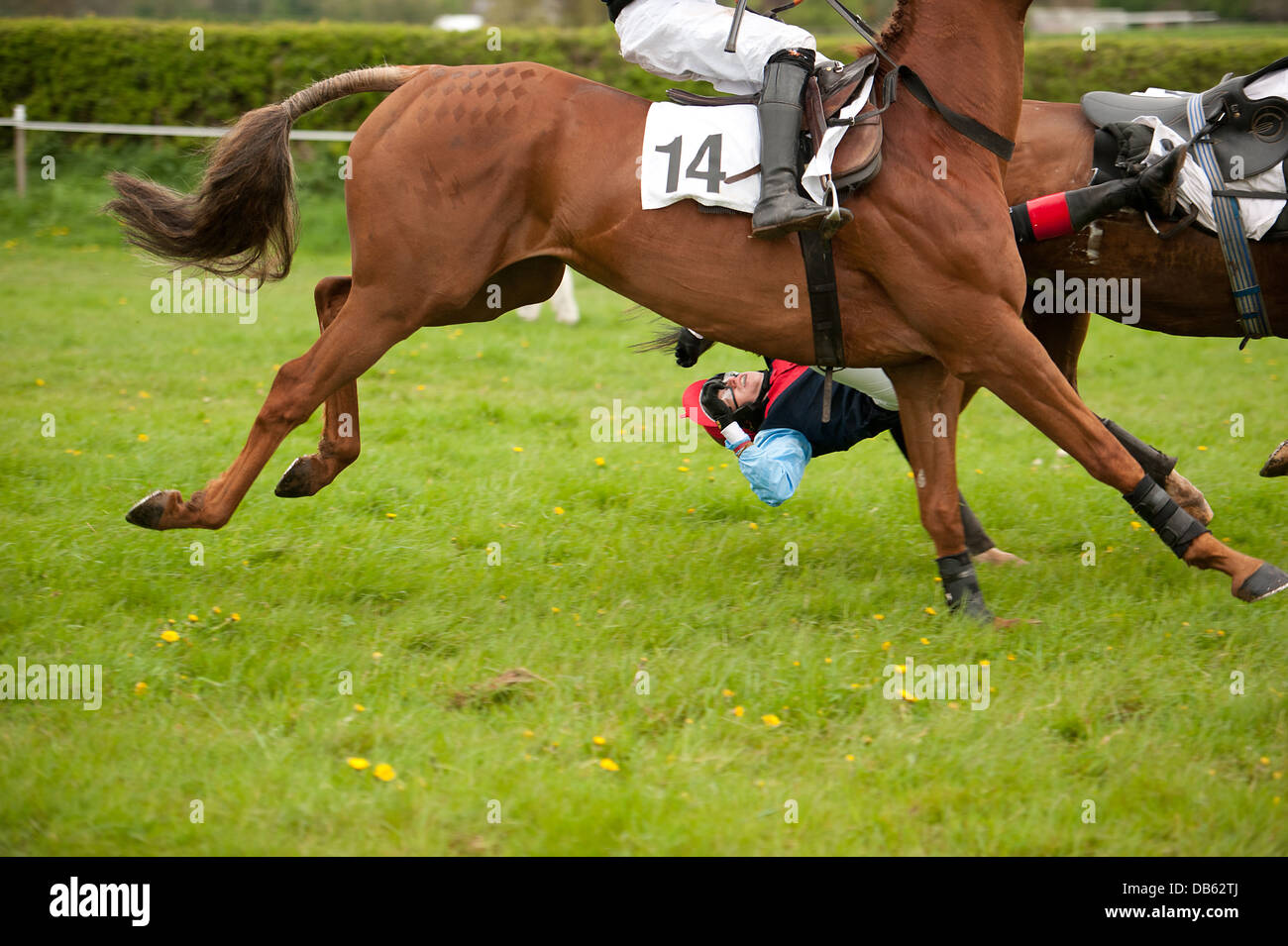 Cavaliere trascinato da cavallo Foto Stock