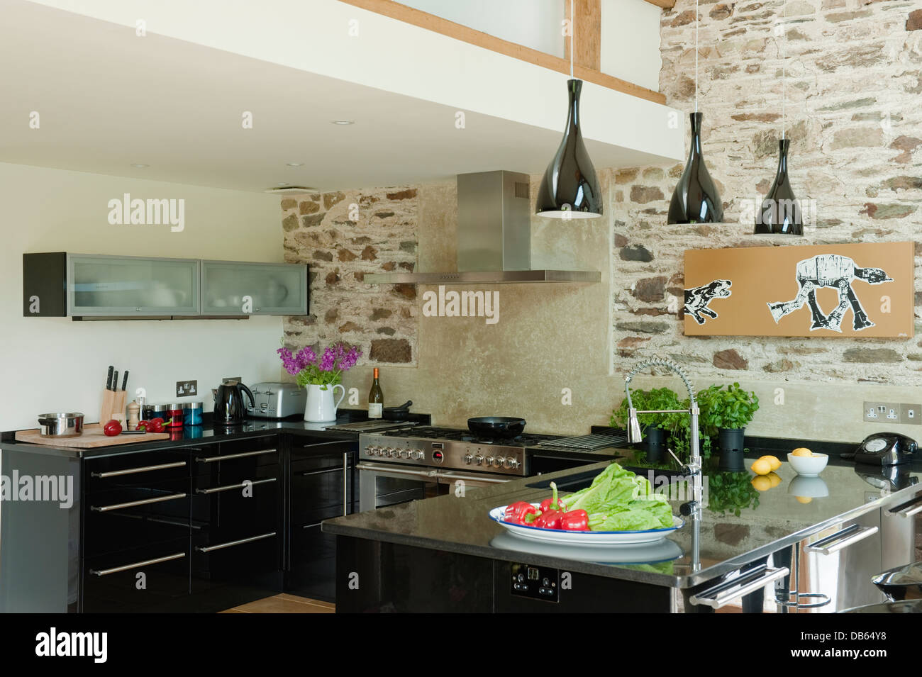 Lucido laccato nero unità dal magnete ha collaborato con granito nero piani di lavoro nel XVIII secolo lungo-granaio cucina conversione, Devon Foto Stock