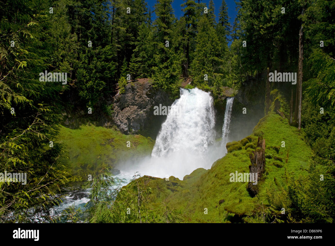 Sahalie Falls si trova sul fiume McKenzie in Willamette National Forest, Oregon, Stati Uniti d'America. Foto Stock