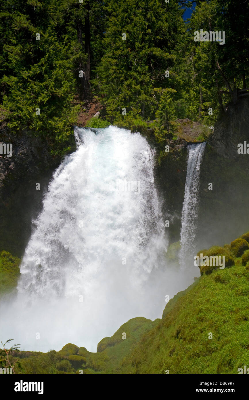 Sahalie Falls si trova sul fiume McKenzie in Willamette National Forest, Oregon, Stati Uniti d'America. Foto Stock