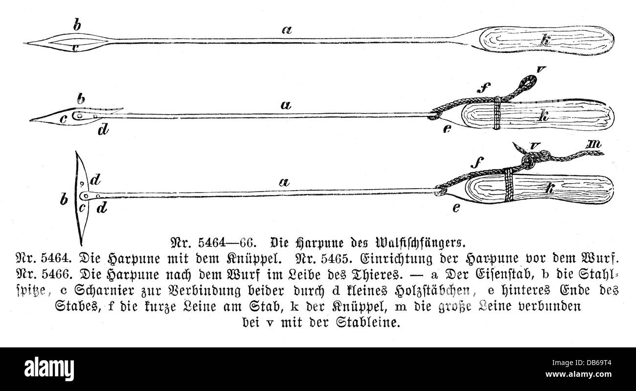 Pesca, caccia, attrezzatura, arpioni, incisione del legno, XIX secolo, arpione, storico, storico, diritti aggiuntivi-clearences-non disponibile Foto Stock