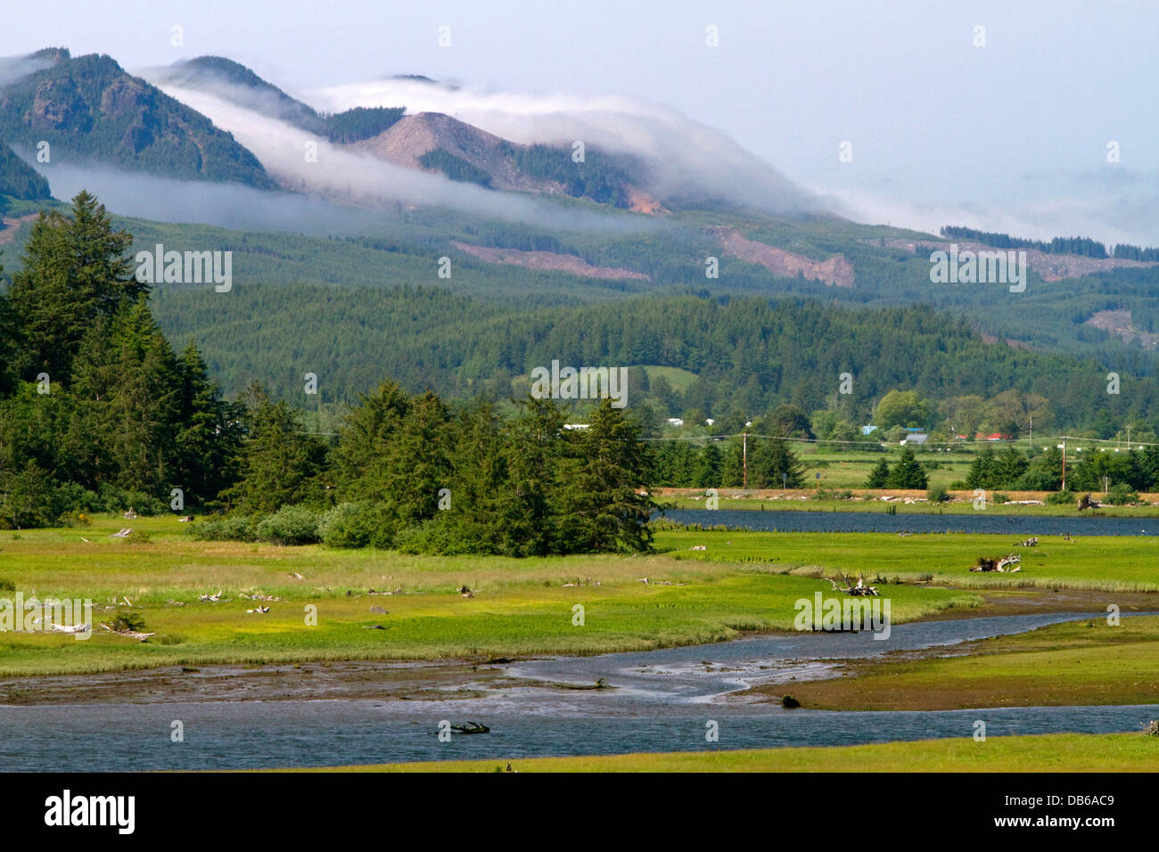 Nebbia costiera proveniente da sopra le montagne vicino a Nehalem in Tillamook County, Oregon, Stati Uniti d'America. Foto Stock