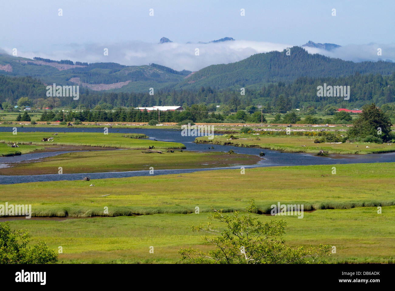 Nebbia costiera proveniente da sopra le montagne vicino a Nehalem in Tillamook County, Oregon, Stati Uniti d'America. Foto Stock