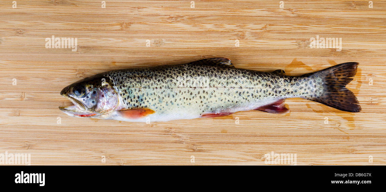 La foto in orizzontale di un Cutthroat trout, in condizioni immacolate, il bamboo naturale board Foto Stock
