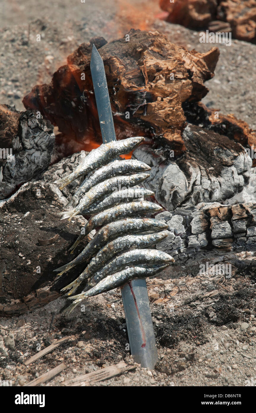 Spiedini o Espeto di sardine, Torre del Mar Beach, Malaga-provincia, regione dell'Andalusia, Spagna, Europa Foto Stock