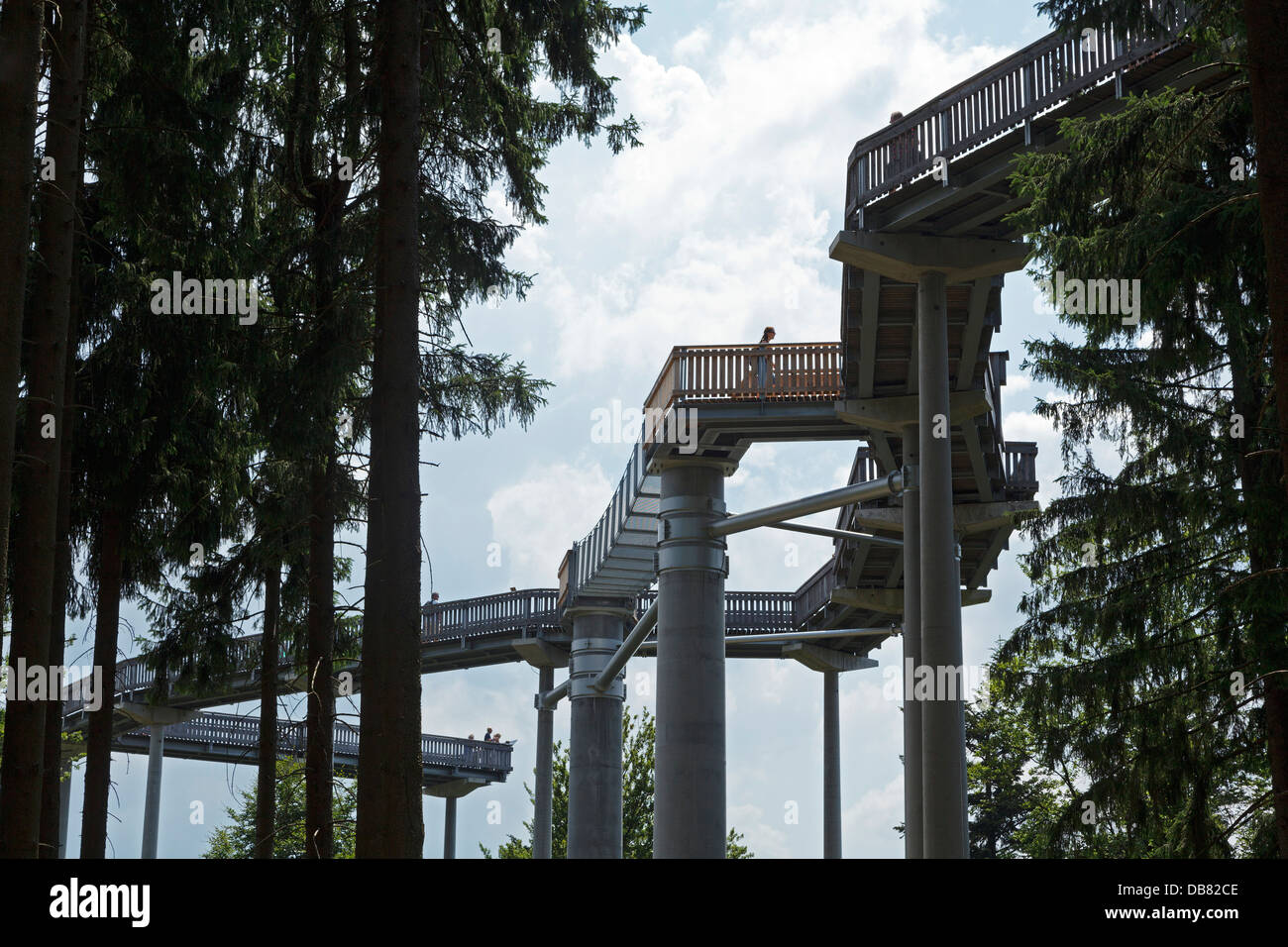 Il pontile, Maibrunn, Foresta Bavarese, Baviera, Germania Foto Stock
