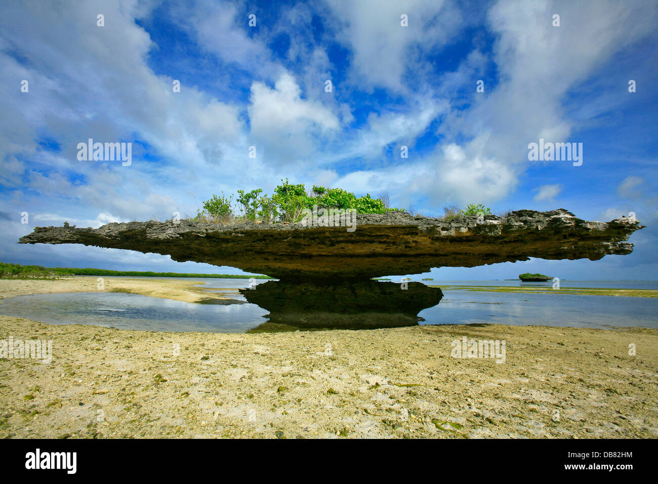 Paesi stranieri - Seychelles - Aldabra blue skies nuvole bianche rocce esposte formazione bassa marea champignon rock coral Foto Stock